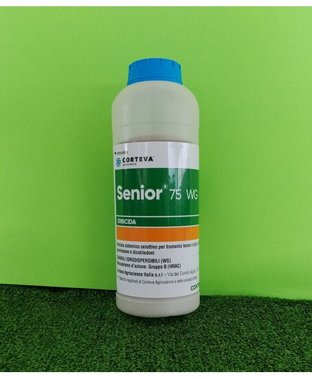 SENIOR DA KG. 0,5
