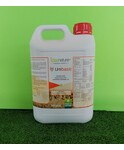 VEGEX URTIBASIC DA KG. 5