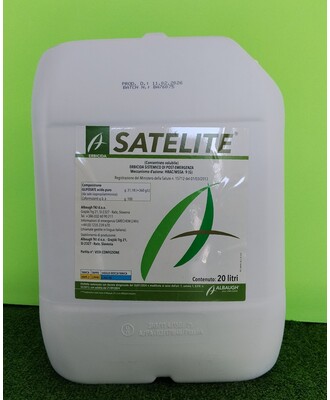 SATELLITE DA LT. 20