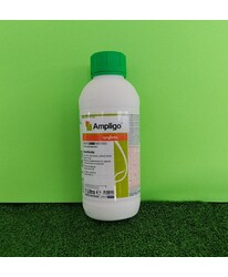 AMPLIGO LT. 1
