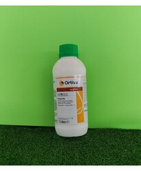ORTIVA DA LT. 1