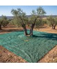 Telo Verde Per Raccolta Olive Antispina e Antistrappo 4X8 OCCHIELLATO (90 GRAMMI)