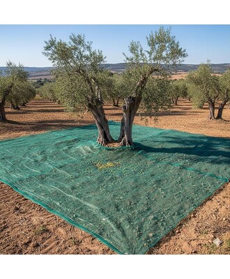 Telo Verde Per Raccolta Olive Antispina e Antistrappo 4X8 OCCHIELLATO (90 GRAMMI)