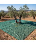 Telo Verde Per Raccolta Olive Antispina e Antistrappo 4X8 OCCHIELLATO (90 GRAMMI)