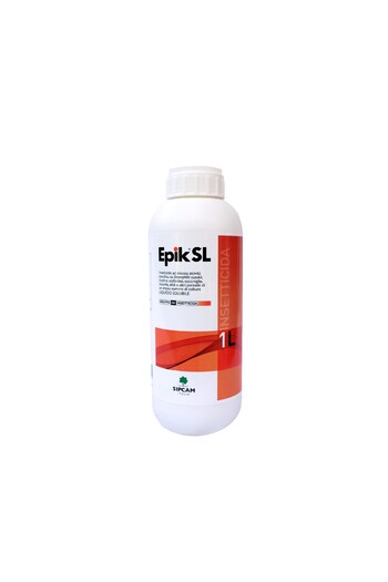 EPIK SL DA LT. 1