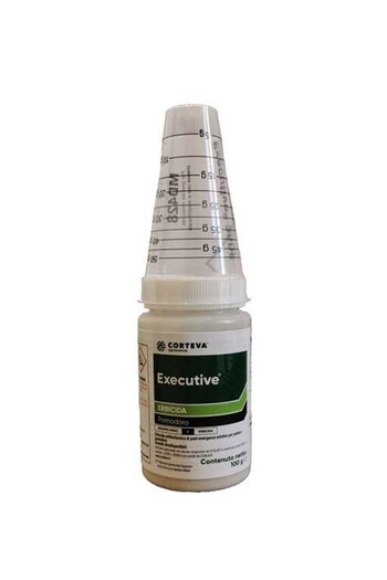 EXECUTIVE DA gr. 100