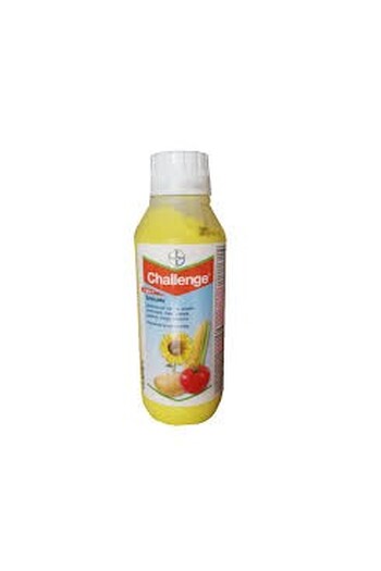 CHALLENGE DA LT. 1