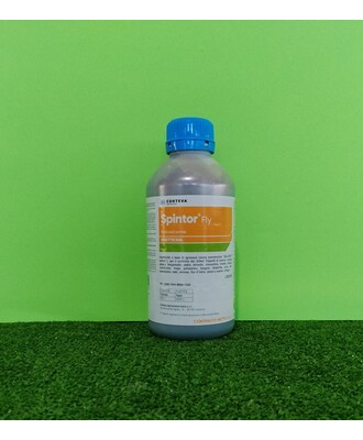SPRINTOR FLY LT.1
