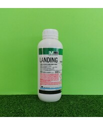 LANDING LT.1