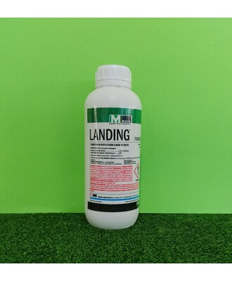LANDING LT.1