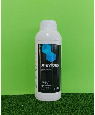 PREVIUS LT.1