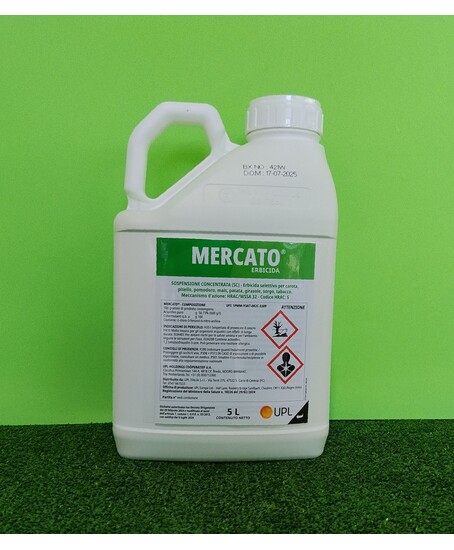MERCATO LT.5
