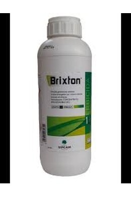 BRIXTON DA LT. 1