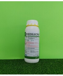 PREDILECTO LT.1