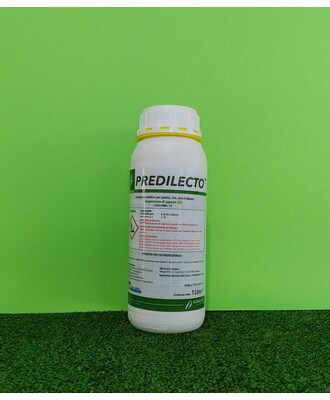 PREDILECTO LT.1