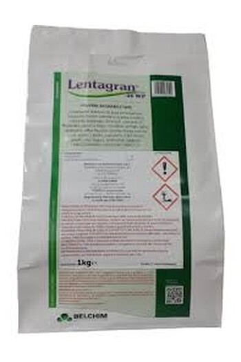 LENTAGRAN 45 WP DA KG. 1
