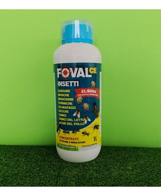 FOVAL CE
